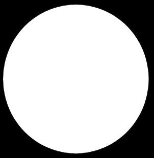 Bacillus megaterium az oldhatatlan