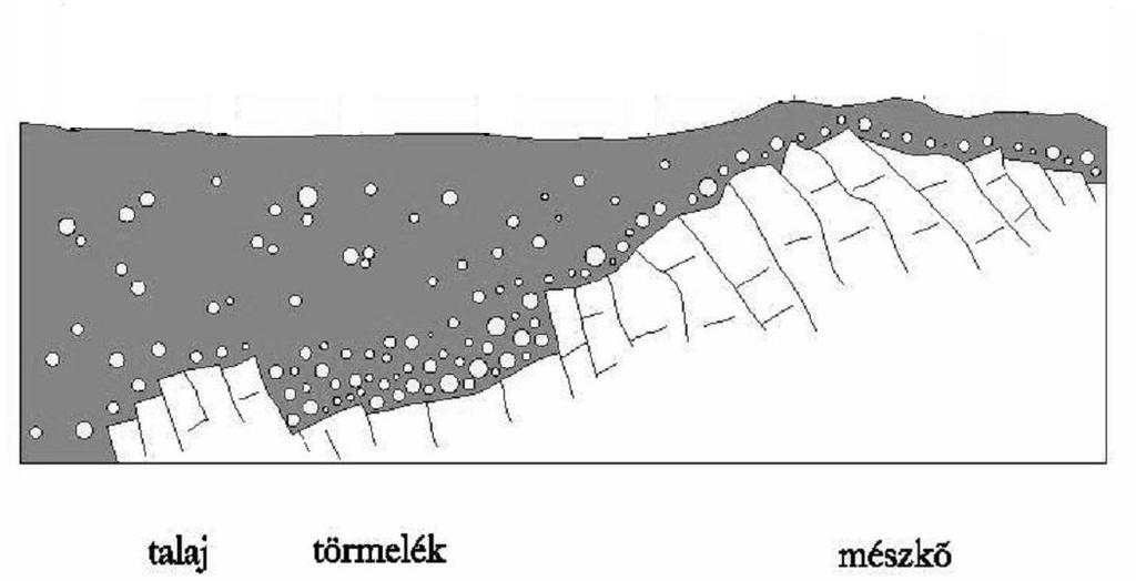 Különböző területek felszínközeli üledék-, illetve kőzetkifejlődésének talajtani és ökogeológiai összefüggései 115 Tudnunk kell, hogy ebben az összletben kiemelten a talajvíztükör fölött miként