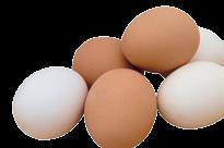 ENERGONOS GOLD, konzum tojást tojó tyúkoknak Az ENERGONOS GOLD és ENEGONOS GOLD magasminőségű takarmány roppantott állagúan.