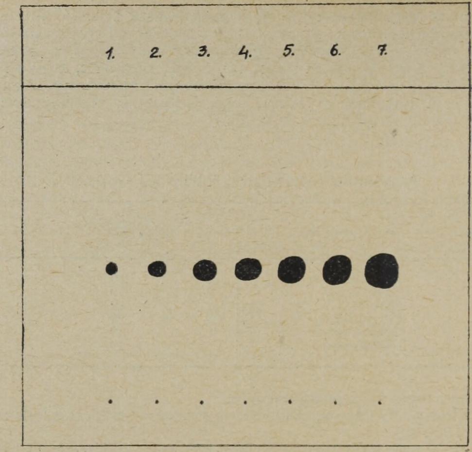 6,0 mg 7. 22,4 mg 4. 9,0 mg Kalibrációs diagram adatai 3. táblázat w (-/)!