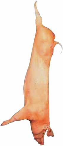 csomagolt 1 099 Ft Amurszelet Ft/kg,