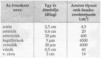 139 A vér és a nyirok keringése 5-1- táblázat Az erek átmérője a nagyvérkör fontosabb részein Gregg, D. E. adatai alpján (The Physiological Basis of Medical Practíce, 8th ed. Best, C. H., Taylor, N.