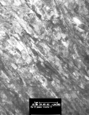 1 µm 1 µm 1 ECAP 2
