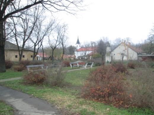 hozzájárulnak a kedvező településkép kialakításához. (pl.: elfedik az előnytelen megjelenésű területrészeket, ipari, gazdasági használatú, vagy a rombolt területeket).
