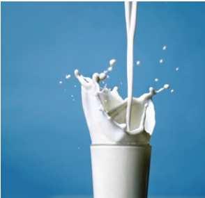 Fogyasztási tej -készítmények Fogyasztási tejszínkészítmények Ízesített tejkészítmények Italok Pudingok Pasztőrözött Féltartós Fogyasztási Ultrapasztőrözött Dúsított Tartós Különleges készítmények