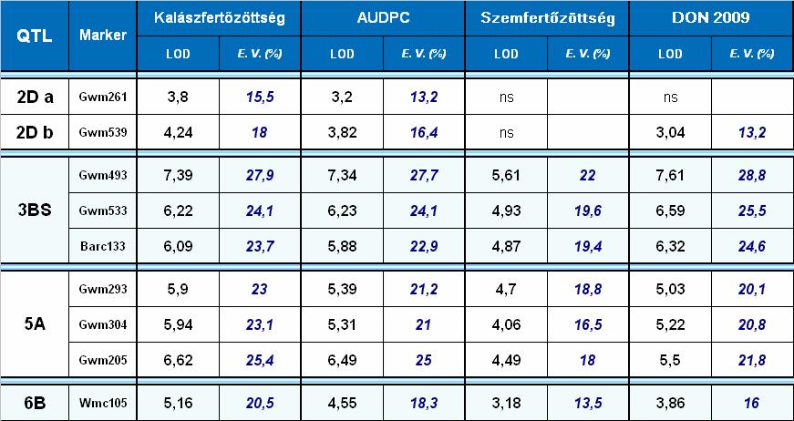 kontroll és a 2D kromoszóma kivételével lényeges eltérés nem volt, az összes kb. 90 %-kal csökkentette a toxintartalmat. 26. táblázat.