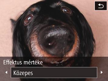 Érintse meg a [ ] ikont, a [ ][ ] gombok megérintésével válassza ki az effektus mértékét, majd érintse meg a [ ] ikont. A megjelenő mintaképen tekintheti meg a választott effektus hatását a képen.