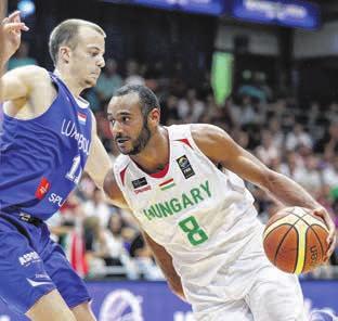 hu Információ: Szabó Árpádné 99/517 501 Ezúton tájékoztatjuk a Tisztelt Lakosságot, hogy Sopron Megyei Jogú Város Önkormányzat Közgyűlése a