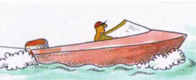 kenu (kétféle is van