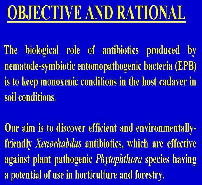 Biological Control of Plant pathogenic fungi Új utak a Phytophthora kutatásokban Az entomopatogén nematodák baktériális szimbiontái