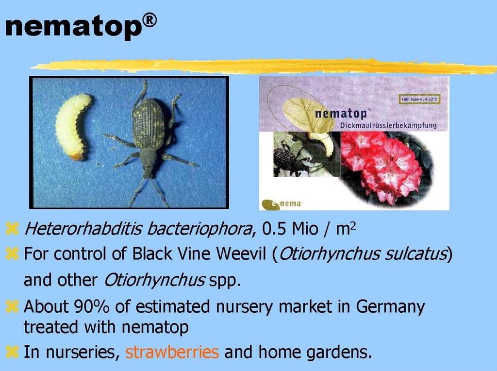 Biológiai védekezés rovarkártevők ellen Biological control of