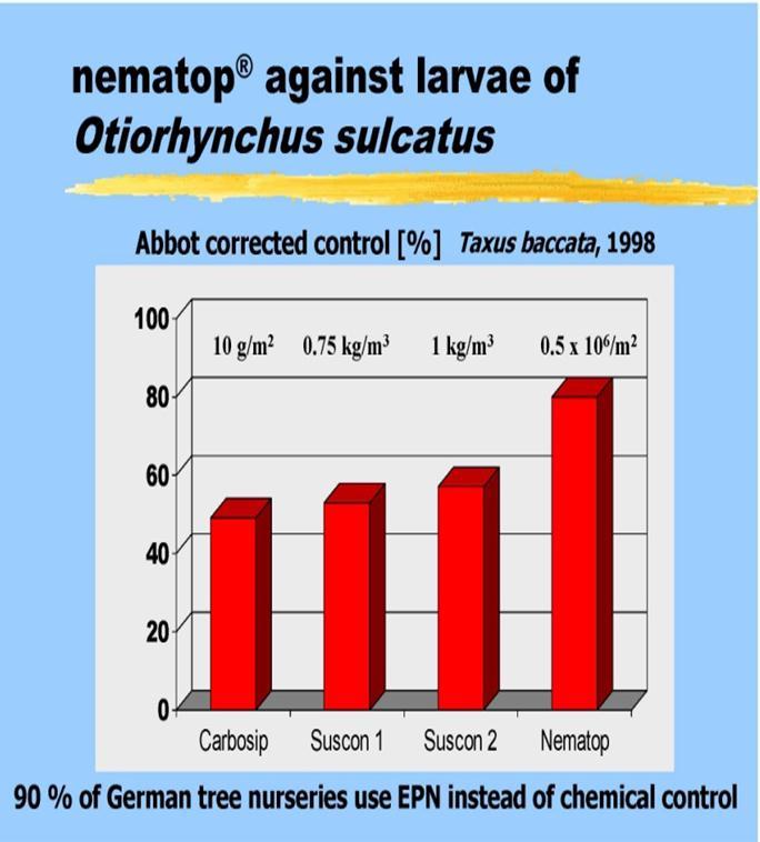 Biológiai védekezés rovarkártevők ellen Biological control of Insect pest pests NEMATOP