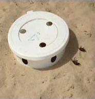 control of Insect pest pests