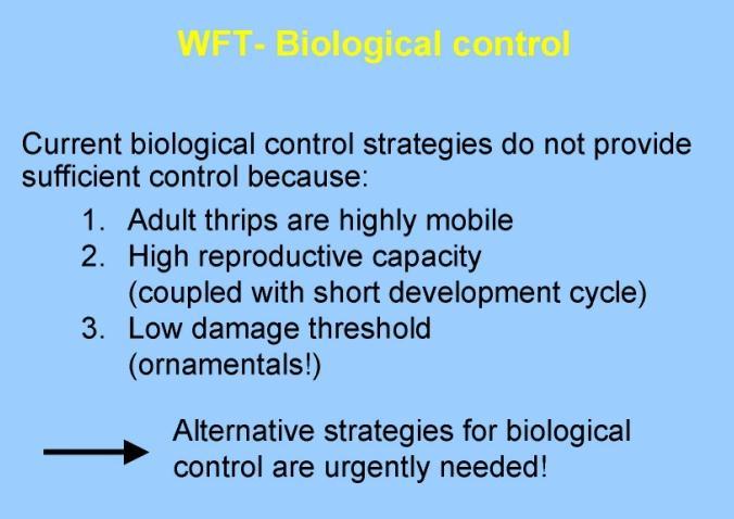 Biológiai védekezés rovarkártevők ellen Biological control of Insect pest pests Biológiai védekezés a nyugati virágtripsz ellen Nehezen kivitelezhető a