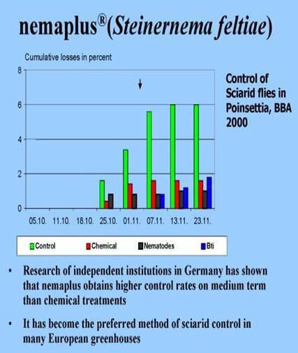 Biológiai védekezés rovarkártevők ellen Biological control of Insect pest pests Biológiai védekezés Sciarid legyek ellen Németorságban független intézetekben