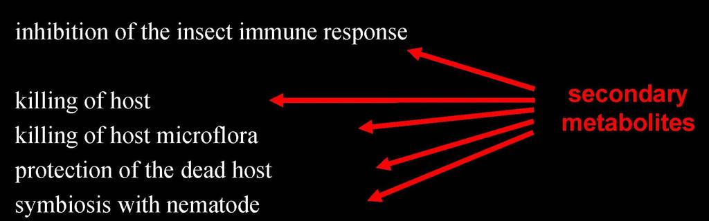 EPB s secondary metabolites EPB