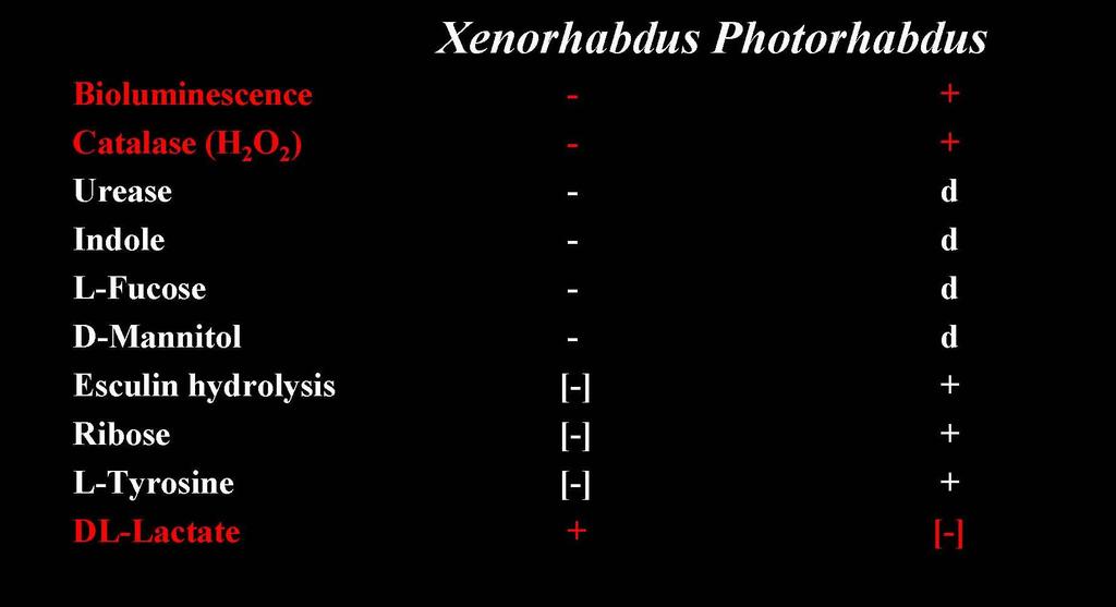 A primer- szekunder fázisváltásról Phenotypic