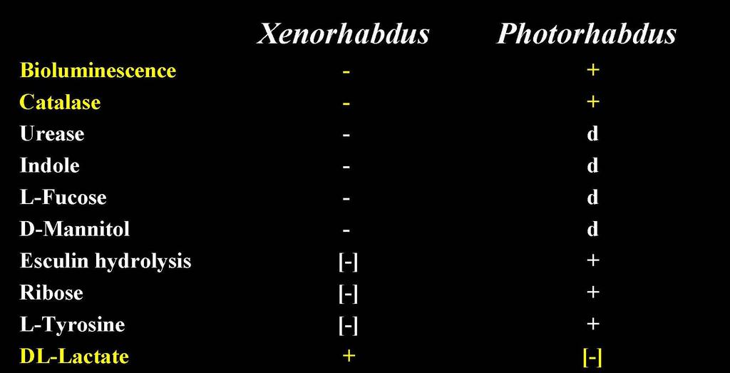 A primer- szekunder fázisváltásról Phenotypic