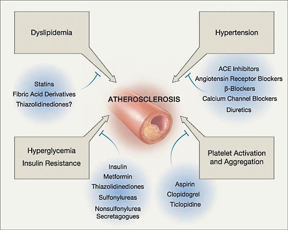 Cél: komplex CV rizikócsökkentés Lipid csökkentő terápia Vérnyomás