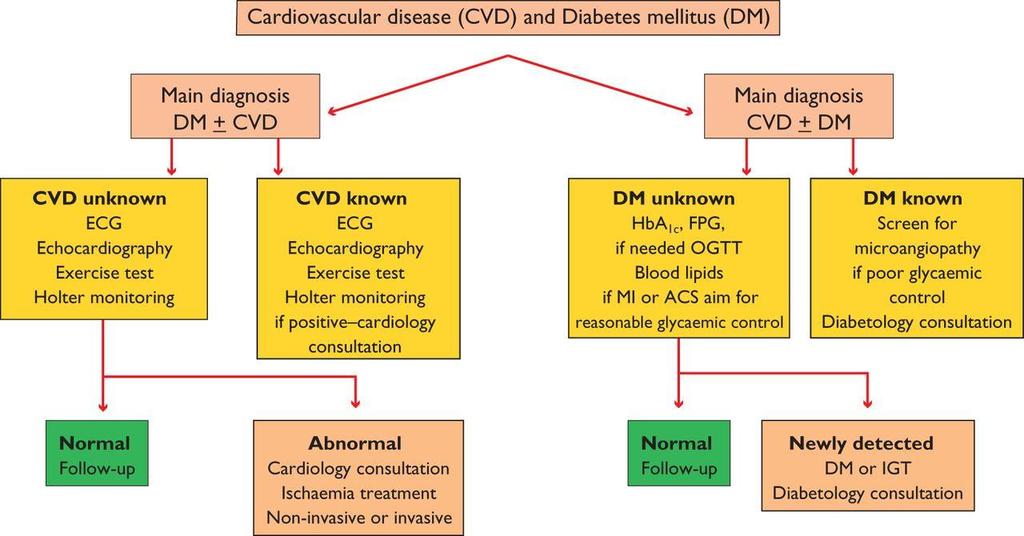 Investigational algorithm outlining the principles for the diagnosis and management of cardiovascular disease (CVD) in diabetes mellitus (DM) patients with a primary diagnosis of DM or a primary