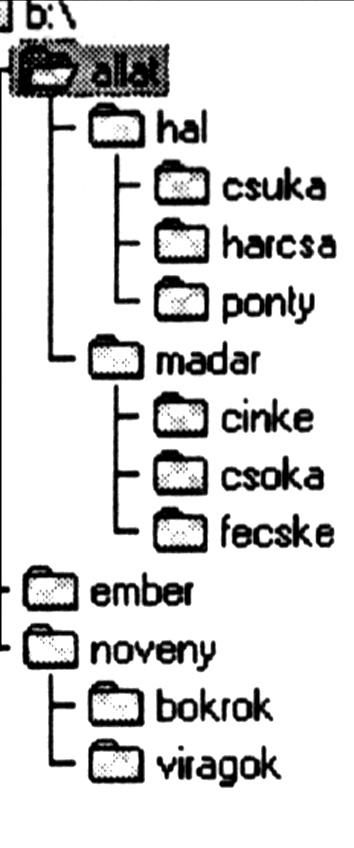 KIEGÉSZÍTÔ ÉS SEGÉDPROGRAMOK A kiegészítô és segédprogramok két csoportba oszthatók.