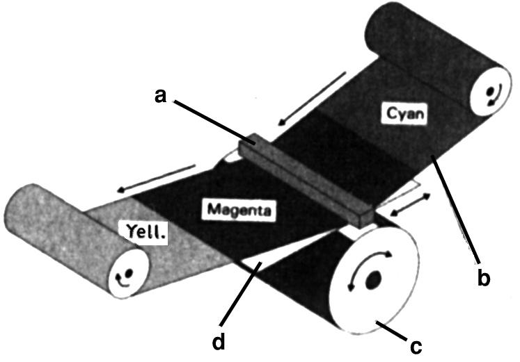 Ismerik a Level2 PostScript oldalleíró nyelvet, így bármilyen összetett (importált képeket, rajzokat tartalmazó) oldalt jó minôségben nyomtatnak ki. Beépített memóriájuk 2 12 MB.