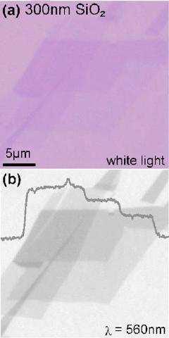 F1.1. ábra a) 300 nm-es SiO 2 -rétegen fehér fényben nehezen vehetık ki az eltérı vastagságú grafénrétegek, viszont zöld fényben (b) már jól megkülönböztethetık.