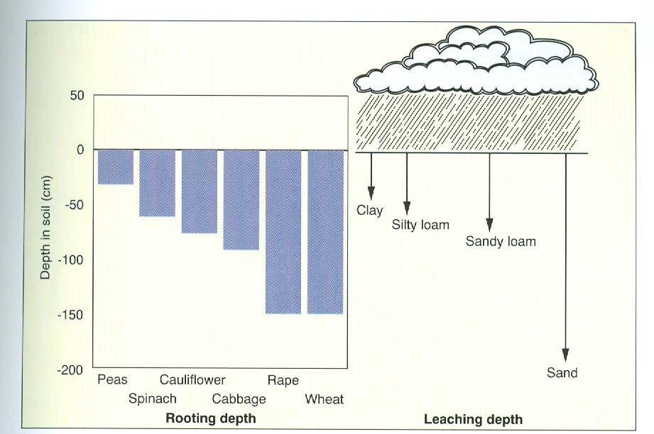 A nitrát kimosódás mélysége különböző talajszerkezetnél 300 mm éves csapadékmennyiség mellett ( Addiscott et al.