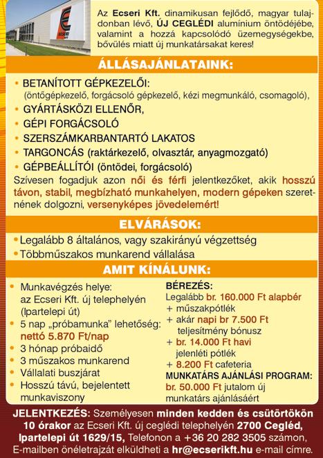 targoncavezetői engedély (OKJ+3324+3312+3313), + pontos és precíz
