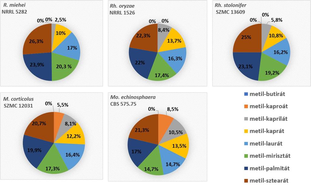 alkotó szerin aminosavhoz irreverzibilis módon kapcsolódni, így gátolni az enzim aktivitását (Abbas és Comeau, 2003; Khrisna és mtsi., 2001). 12. ábra.