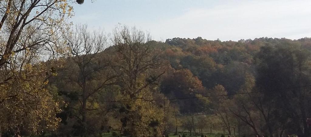 A Natura 2000 besorolású erdők, legelők helyi jelentőségi természeti védelem alá is tartoznak.