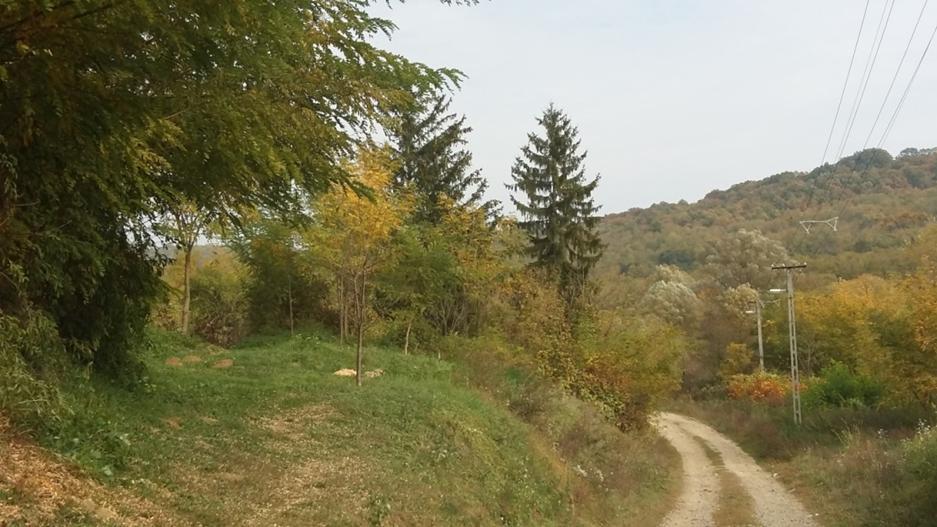 Helyi jelentőségű természetvédelmi területek helyrajzi számai: 04/9 megosztva, 04/10 megosztva, 015 megosztva, 016 megosztva, 027 megosztva, 029/2 megosztva, 029/4, 029/6 megosztva,