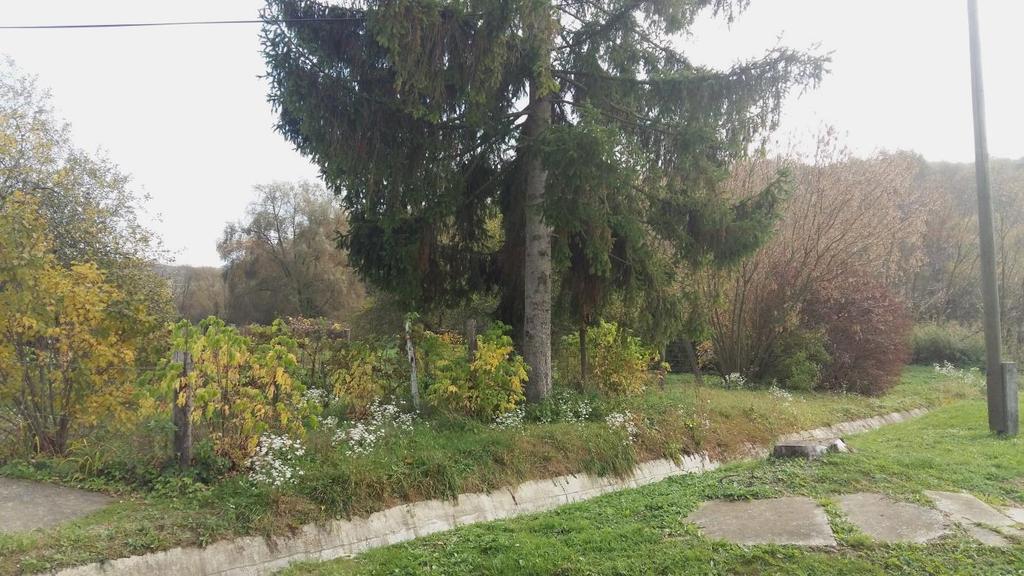 Az utcák egynyári kiültetései meseszépek.