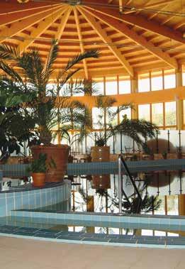 Area 1000 m 2 Térburkolat