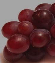 Cabernet Sauvignon, Merlot, Portugieser, Kékfrankos, Pinot Noir, Syrah Fűszeres, piros gyümölcsös illatú.