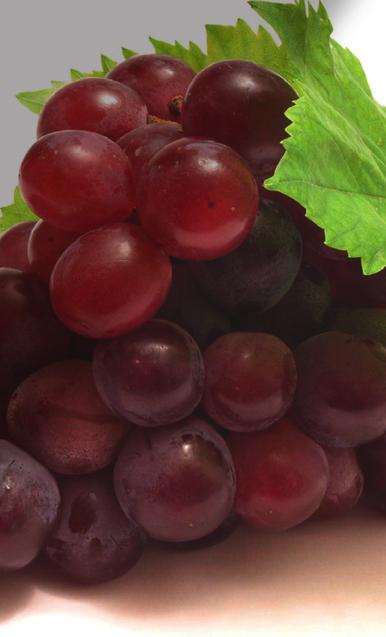 Cabernet franc-t, napsütést, Cabernet sauvignont, hordót, éveket Borjú, marha és vadhús, gulyás, pörkölt, sajt 2199,- 2792, 73 1 l: