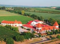 Marhasültek 779,- 989, 33 1 l: 1319,11 karton ár: 5935,98 KATTRA PINOT NOIR FRITTMANN CABERNET FRANC & 16-18 C 1-3 év Kunság $