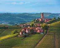 OLASZ BOROK CHARDONNAY IGT VENEZIE Olaszország, Barolo és Barbaresco CHIANTI DOCG & 14-16 C 1-2 év Veneto