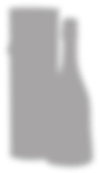 PEZSGŐK, CHAMPAGNE LAMBRUSCO DI MODENA DOC ROSSO alk.: 8% V/V LA GIOISA BIANCO FRIZZANTE alk.