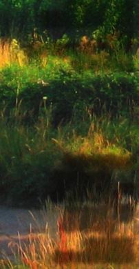 GRIS LAPOSA OLASZRIZLING VARGA AR ARANYMETSZÉS OLASZRIZLING O ROZÉ FRISS 595, s. 4 Amikor 2007.