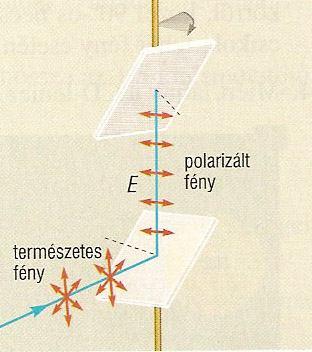 Azt tapasztalta, hogy a második üveglap által visszavert fény intenzitása periodikusan változik.