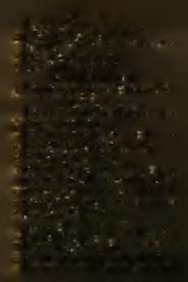 9. Zalai egyházmegye. Esperes: Halász Béla. Az egyházközségek mind Veszprém m-ben vannak. 1. Alsó-Felsődörgicse. L. Csaby József. Lsz. 619. 12. Kapóira. L. Halász Béla. Lsz. 816. 3. Keszthely. L. Mesterházy Ferenc.