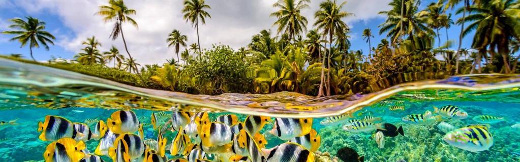 9. nap Raiatea (R/-/V) Ezen a napon biciklire pattanva felfedezhetjük a sziget belsejét, meglátogathatjuk a közeli Uturoa falu piacát, kis boltjait, ismerkedés a helyi kultúrával.