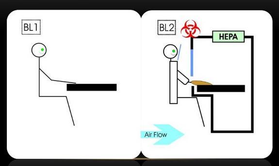 Biosafety in