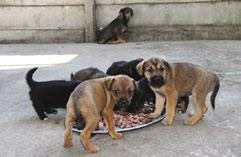 szükséges! NYÁRI TÁBOR A tavalyi évhez hasonlóan Vágó Piros vezetésével napközis jellegű kézműves táborok kerülnek megrendezésre a nyári szünetben. Bővebb információ: Kecskemét, Serfőző u. 19., T.