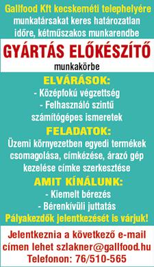 hu Szerszámgéptesztelõ munkakörbe munkatársakat keresünk két mûszakos munkarendbe, kecskeméti munkavégzéssel. Jelentkezés: Kecskemét, Batthyány utca 10. Tel.