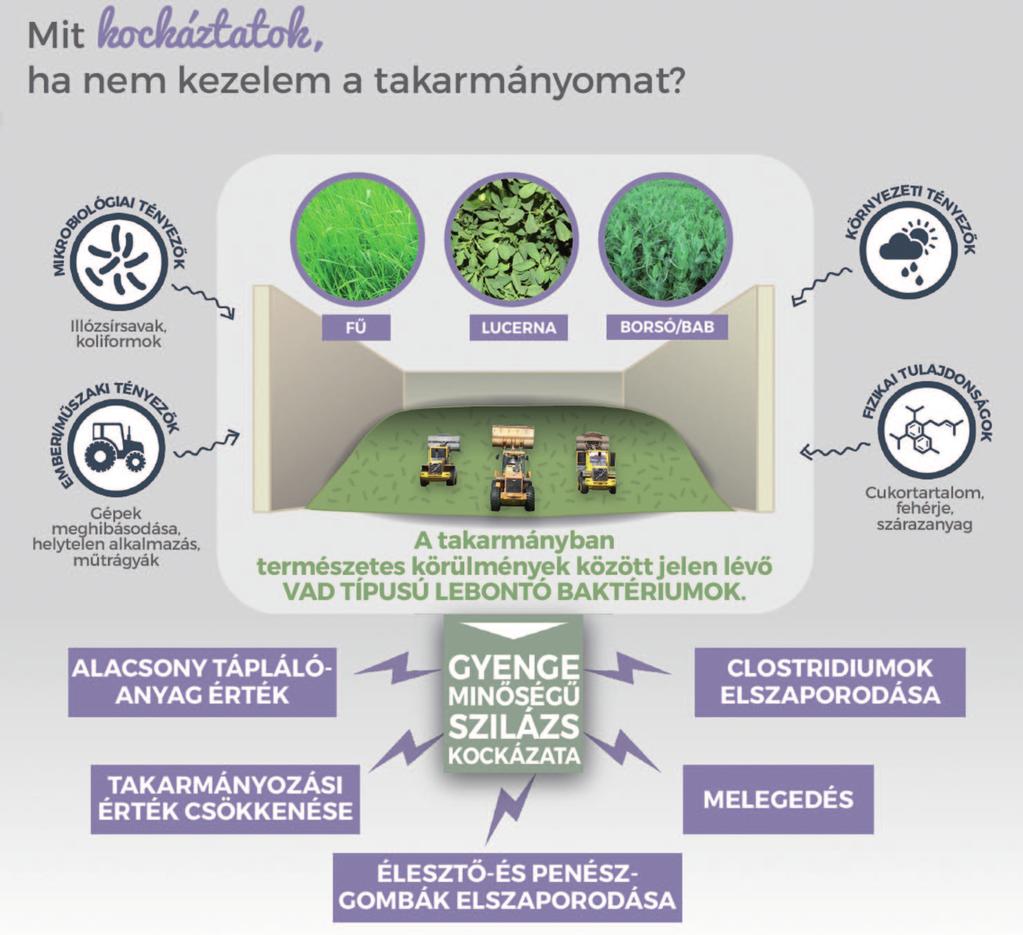 takarmányozás Amiről sosem beszélhetünk eleget: a tömegtakarmányok minősége A tejtermelésben ma megkövetelt magas termelési szinten létfontosságúak a kiváló minőségben előállított tartósított