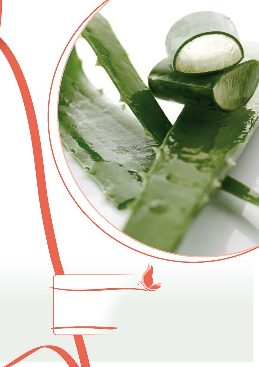SZETTBEN 10% MEGTAKARÍTÁS Aloe vera őszibarack ízű ivógél 6-os csomag 6 x 1000 ml