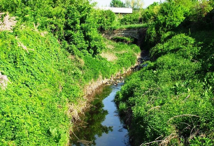 A vizes élőhelyhez kapcsolódóan természetes növényzet a patak mentén található.