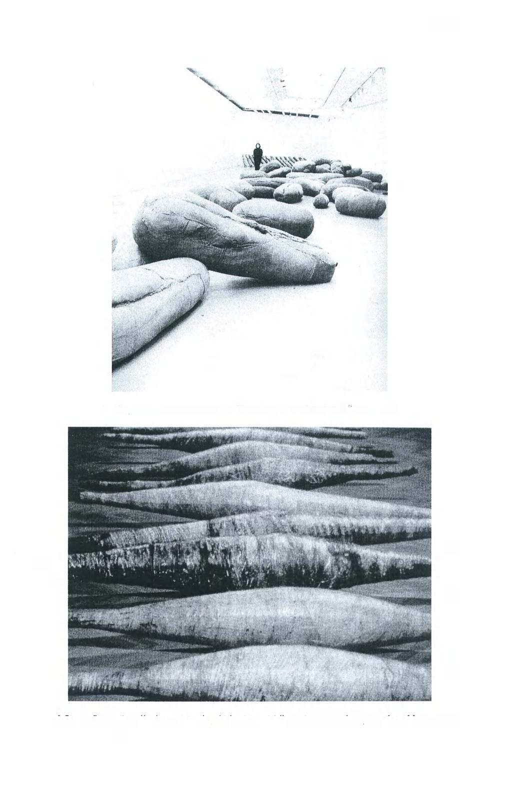 94 5. Magdaléna Abakanowicz: Az Embriológia a párizsi kiállításon, 1980 6.